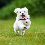 Hurra – Raus an die frische Luft!