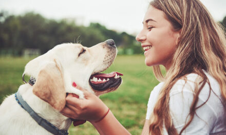 Unsicherer Hund: Anzeichen erkennen und richtig reagieren