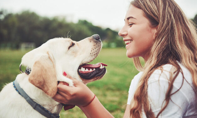 Unsicherer Hund: Anzeichen erkennen und richtig reagieren