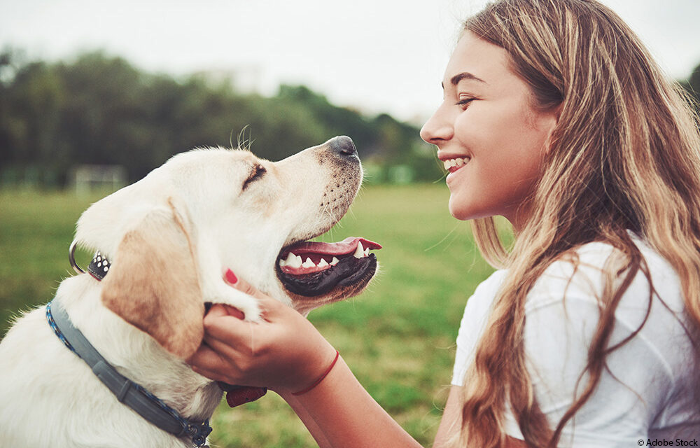 Unsicherer Hund: Anzeichen erkennen und richtig reagieren
